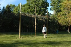 HollyCornblog and Hop Trellis