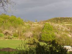 Gazing Up Hopbrew Hill