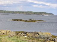 Deer Island View