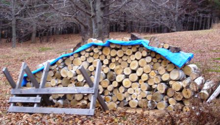 Woodpile