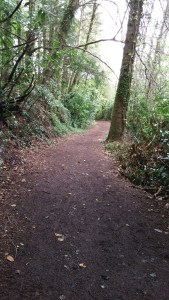 2015-05-09 12.47.13-2