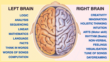 Left Brain, Right Brain